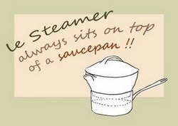 steamer on saucepan